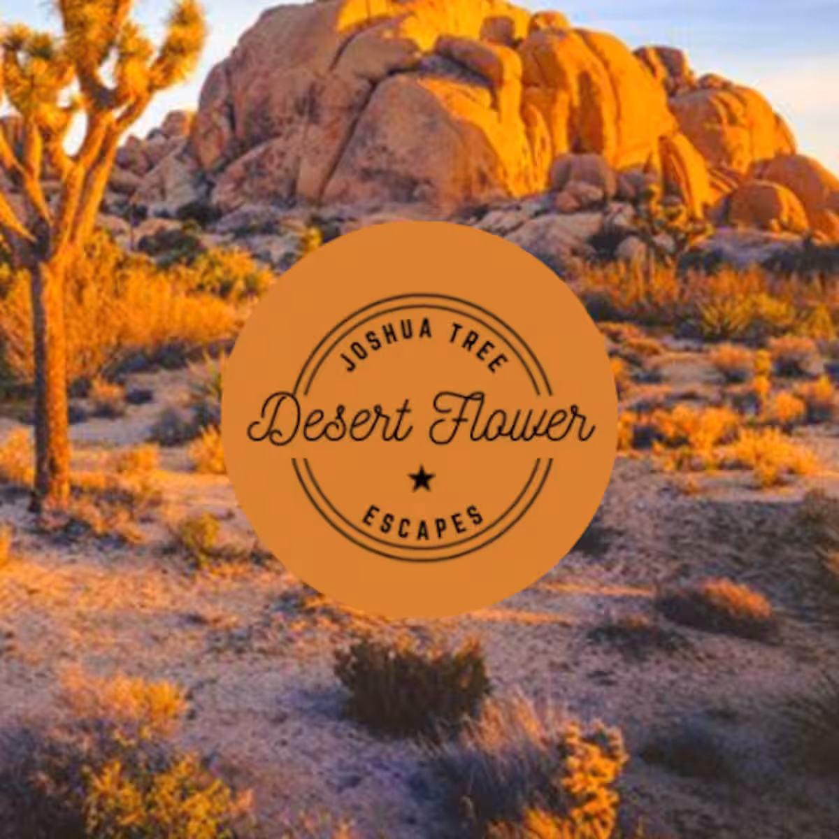 Desert Flower Retreat